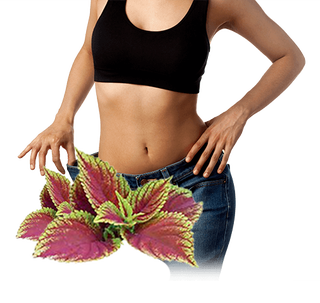 Illustration for article titled Turmeric Forskolin- All-Natural Fat Burner
